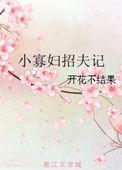 小寡妇招夫记好看吗
