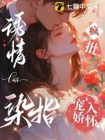 诱情染指疯批宠娇入怀推文