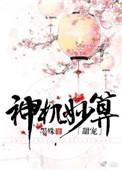 神机妙算(甜宠)晋江