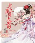 妻闲夫贵TXT