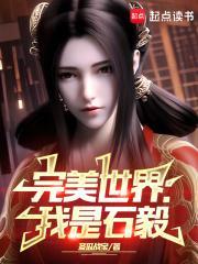 完美世界我是石毅章节列表
