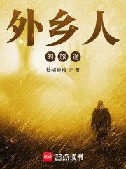 外乡人的旅途主角的能力