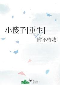 小傻子重生记叶小珍