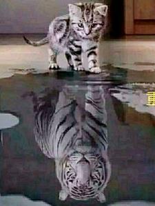 重生之远古时代