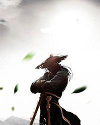 帝武丹尊