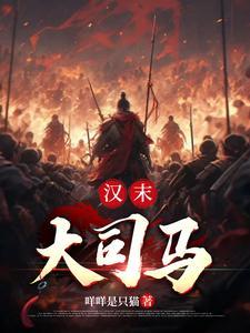 汉末大司马gl