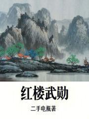 红楼武勋 二手电瓶
