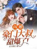 闪婚大叔超腹黑