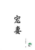 宠妻重生之宠重生盛宠重生妻美好时光