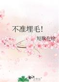 不准埋毛全文免费阅读