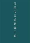 江采今天追到妻了吗txt