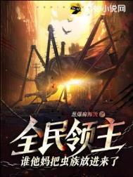 全民领主谁他妈把虫族放进来了境界划分
