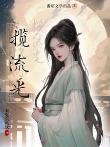 揽流光三千百度百科