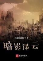 暗影谍云 笔趣阁
