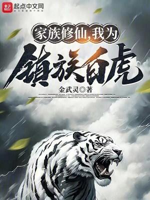 家族修仙转