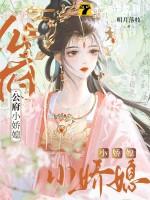 公府小娇媳免费阅读