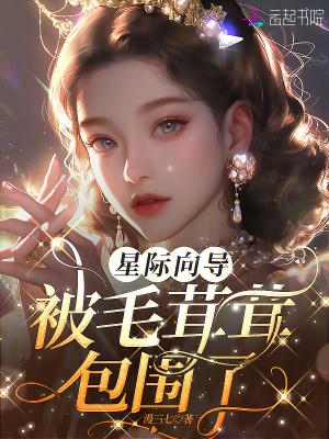 痴迷向唯一3s级向导献上所有