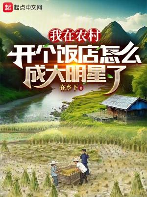 我在农村开个饭店怎么成大明星了TXT