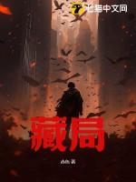 藏局天下简介