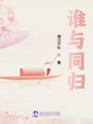 歌词谁与归
