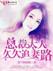 总裁大人的追妻计划