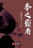 拳之霸者剧情介绍