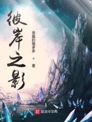 诡秘之主偷窃者途径