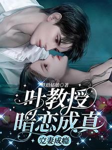 书名叶教授的小黏糖 作者桉棉