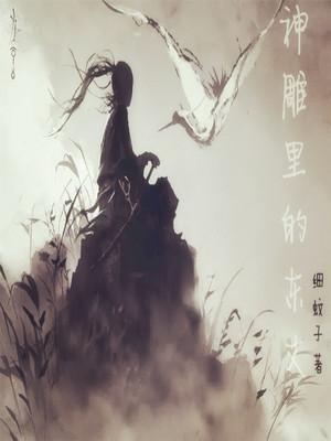 神雕里的东丈笔趣阁