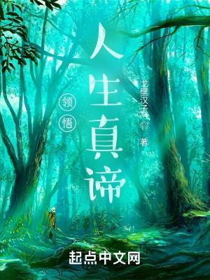 领悟人生真谛把握人生方向教案