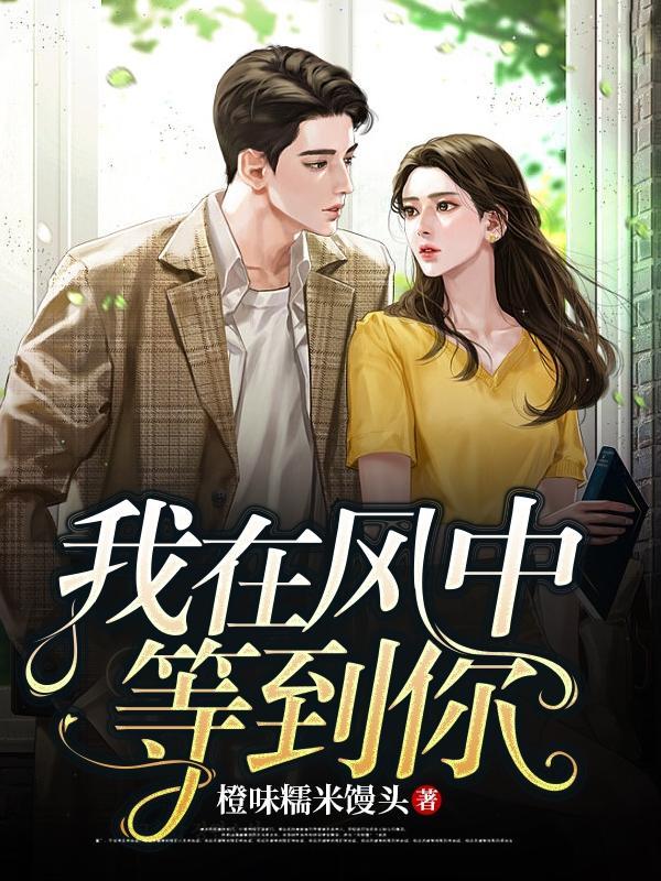抖音我在风中等你歌词