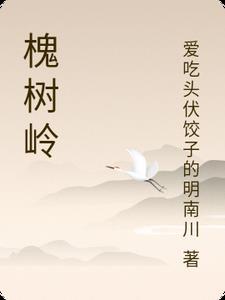 槐树岭2号院