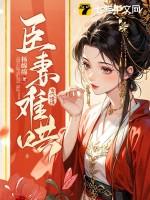 臣妻讲的是