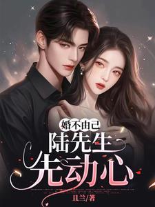 婚不由己许临陆尔免费