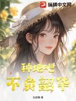 不负韶华下一句