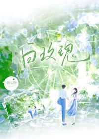 白玫瑰和红玫瑰的寓意是什么