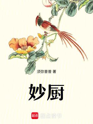 妙厨TXT