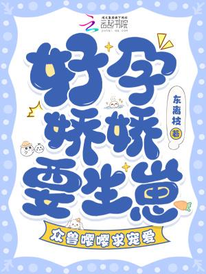 好孕娇妻一胎二宝