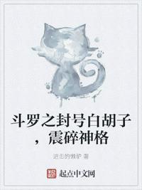 斗罗之开局直接封号斗罗白玄