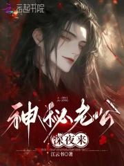 神秘老公深夜来慕家免费阅读