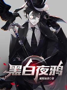 黑鸦片经典款和白夜款什么区别