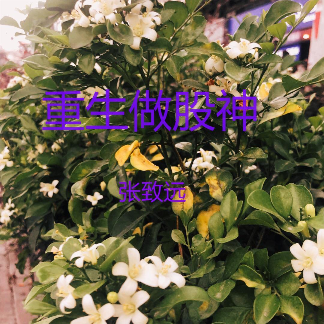 重生做股神免费阅读