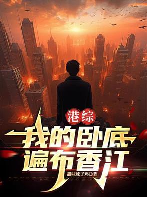 港综从卧底