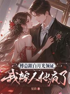 傅先生的白月光结尾篇