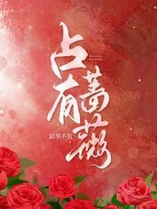 书名蔷薇的