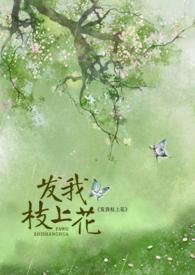 发我枝上花TXT百度