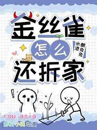 金丝雀怎么还拆家梁晓