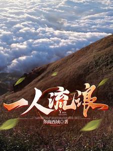 一人流浪在远方是什么歌曲