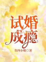 试婚成瘾总裁老公晚上好 绯色添香