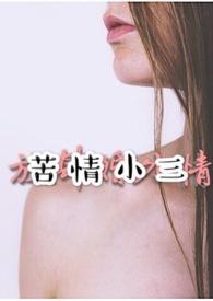 苦情小三笔趣阁最新章节更新